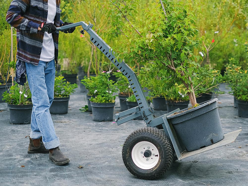 Pexels Shvetsa 5230937